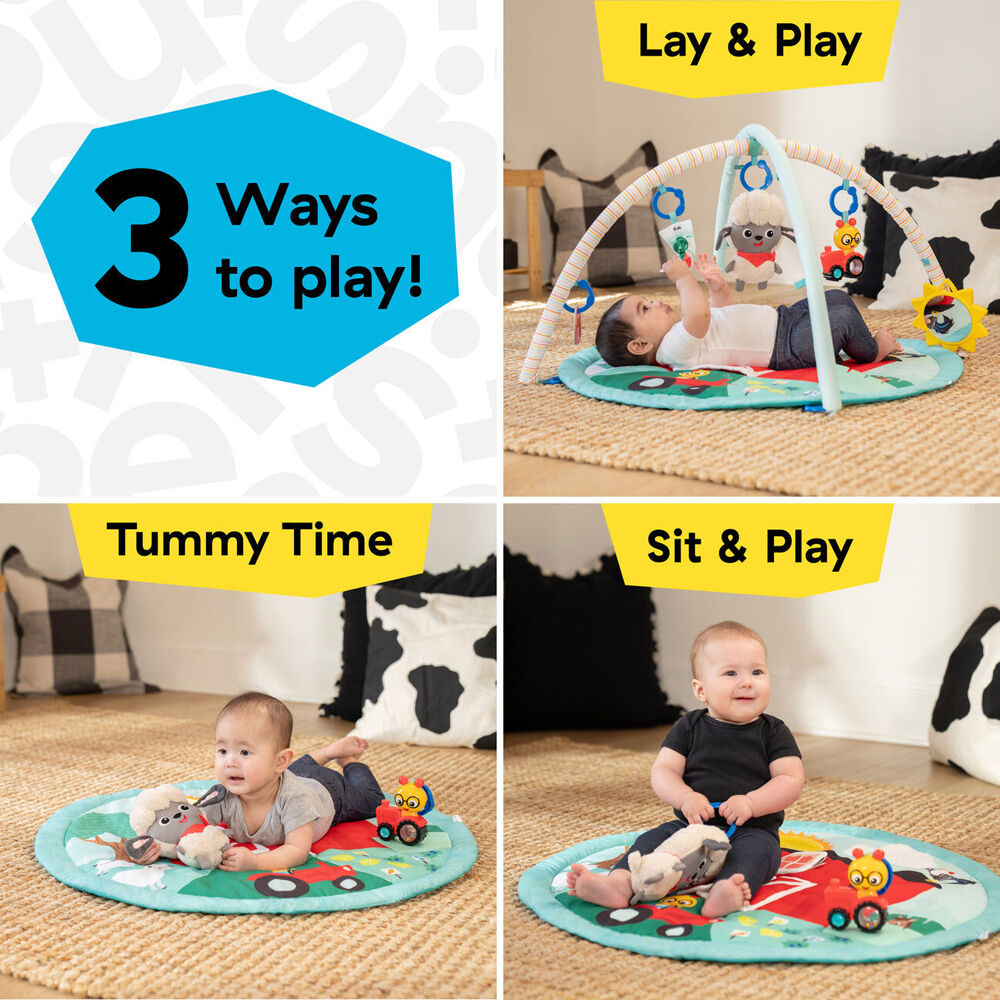 Baby Einstein 0m+ Farm Explorers Happy Harvest Touch & Feel Newborn Activity Gym — image 3
