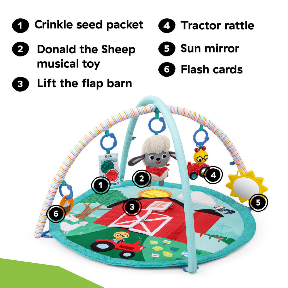 Baby Einstein 0m+ Farm Explorers Happy Harvest Touch & Feel Newborn Activity Gym — image 5