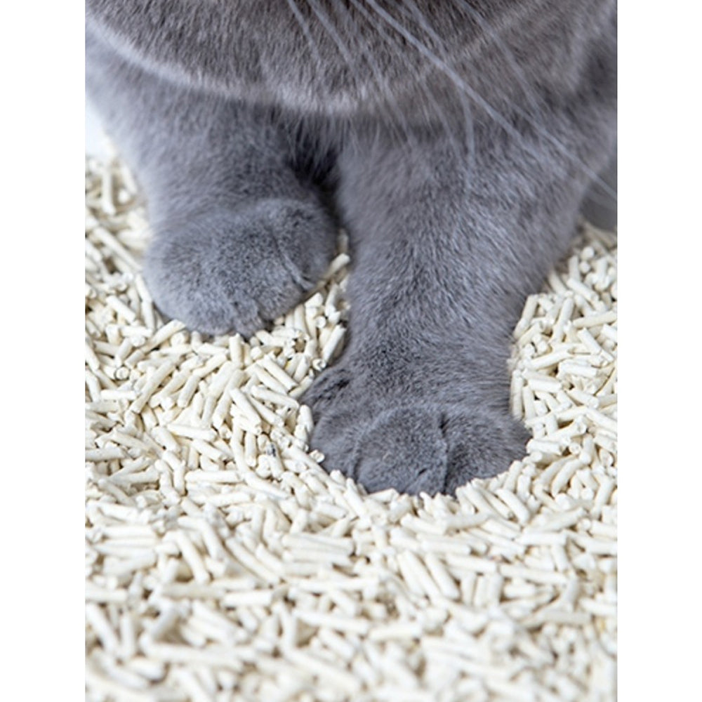 Kungfu Cat 17.5L/6.5kg Tofu Cat/Pet Litter Deodoriser Fast Clumping Green Tea — image 2