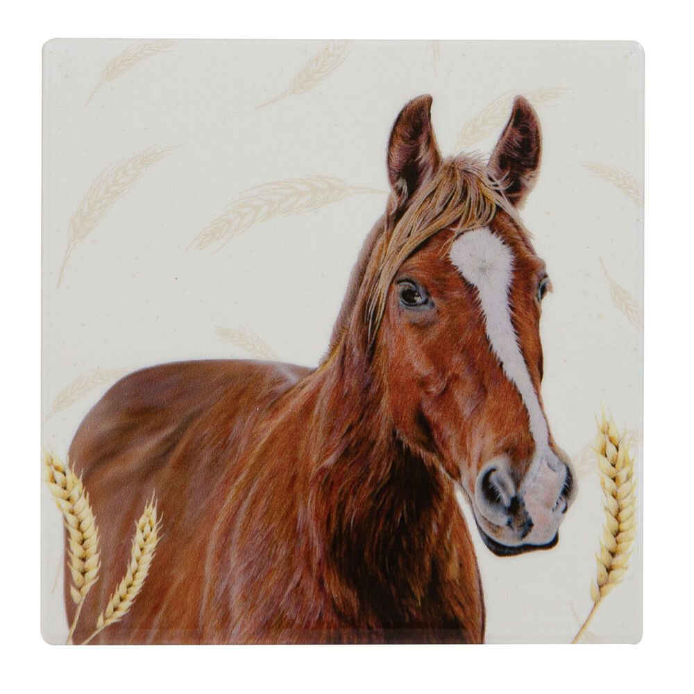 Ashdene 10x10cm Farmyard Faces 2 Horse Square Drink Mat Ceramic Coaster