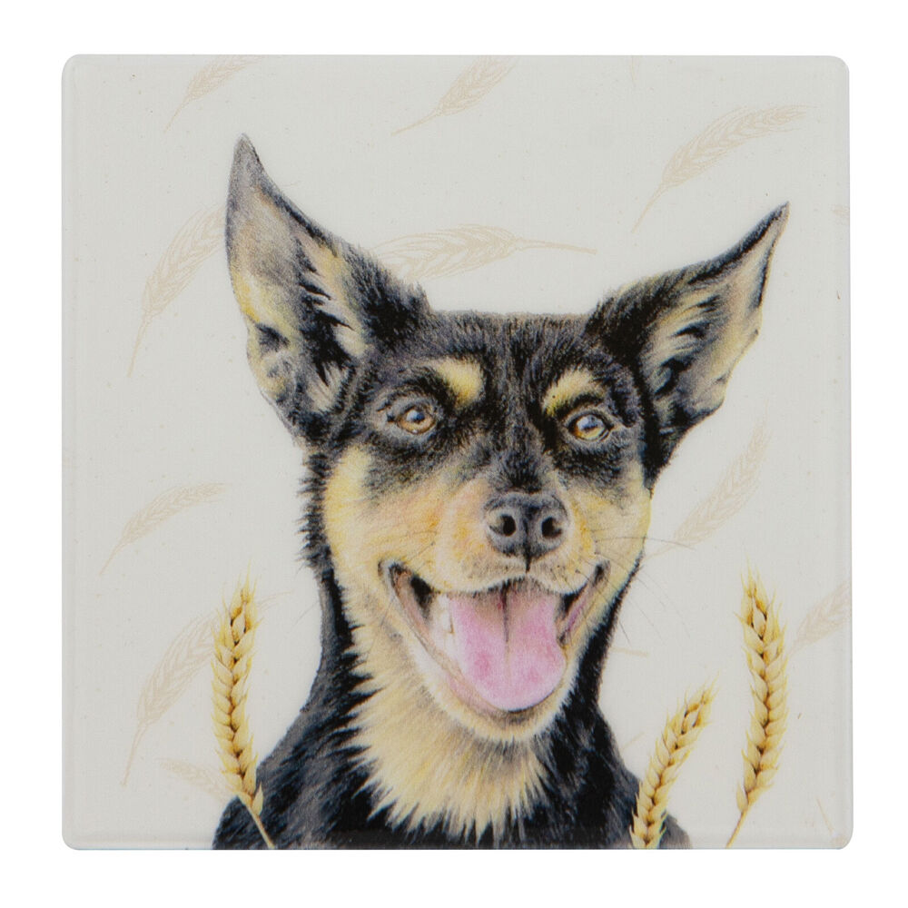 Ashdene 10x10cm Farmyard Faces Kelpie Square Drink Mat Ceramic Coaster