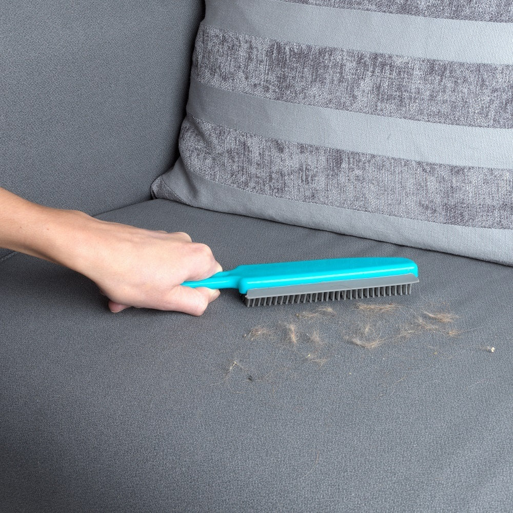 Beldray Pet Plus Non-Scratch TPR Upholstery/Sofas Cleaning Brush/Comb Turquoise — image 5