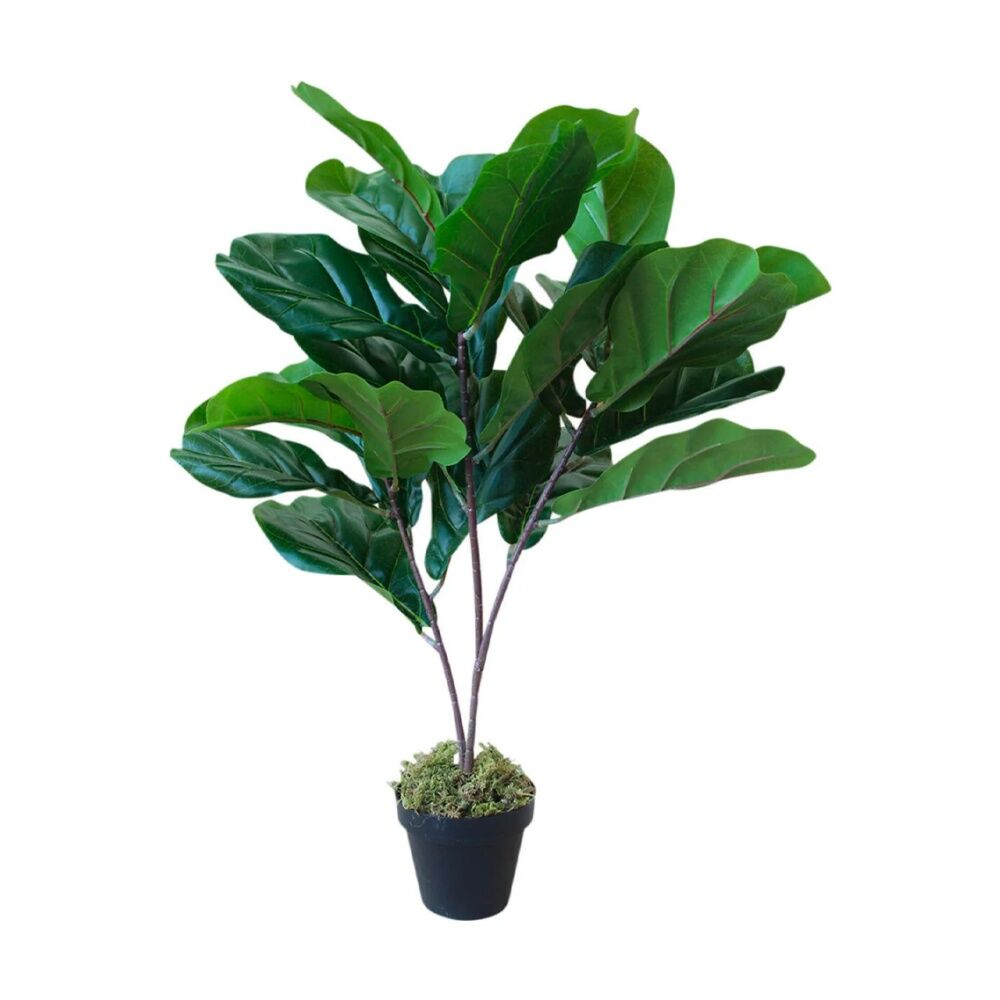 LVD 70.5cm Fiddle Leaf Fig Standing Faux/Fake Potted Leaf/Plant/Greenery Home Décor