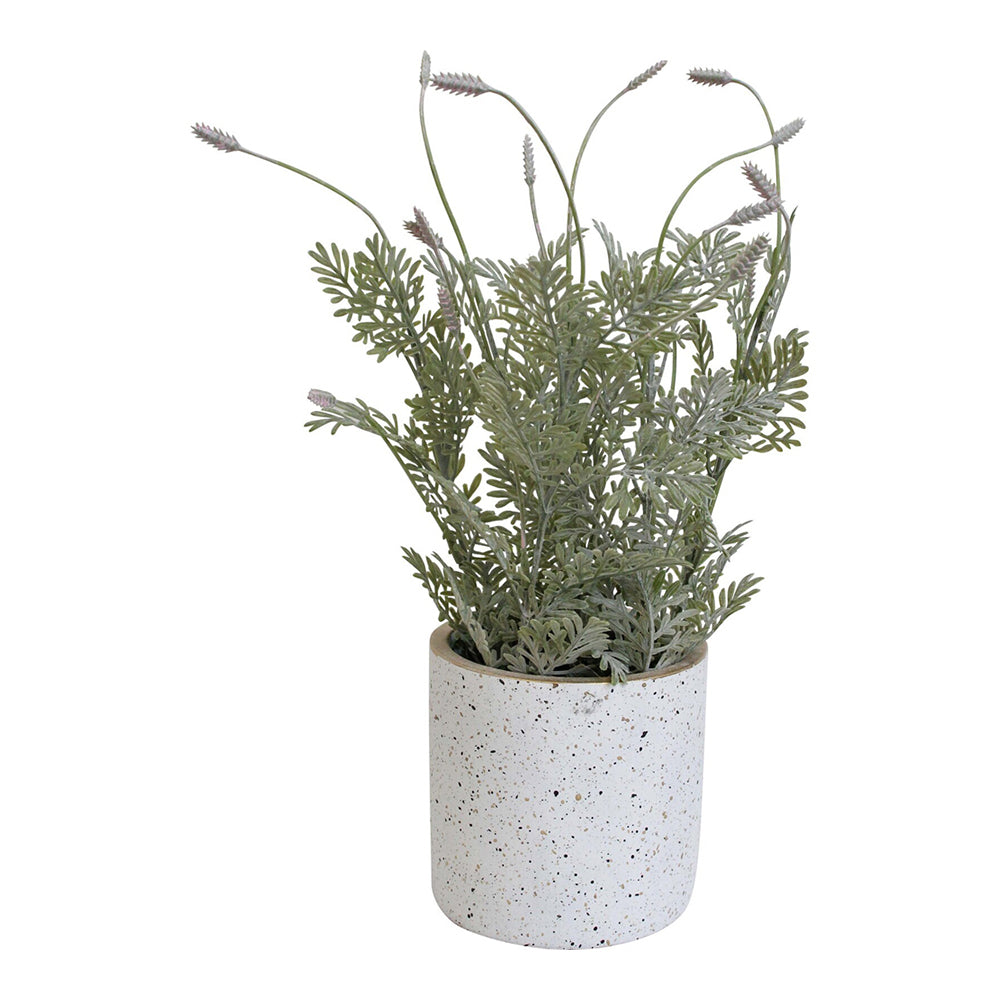 LVD Potted Plastic/Foam 30cm Garden Fern Artificial Faux/Fake Plant Home Room Decor