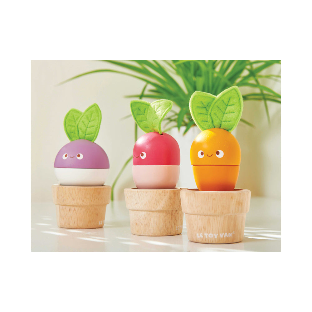 LE Toy Van Petilou Stacking Veggies Kids/Toddler Sensory Wooden Toy 18m+ — image 3