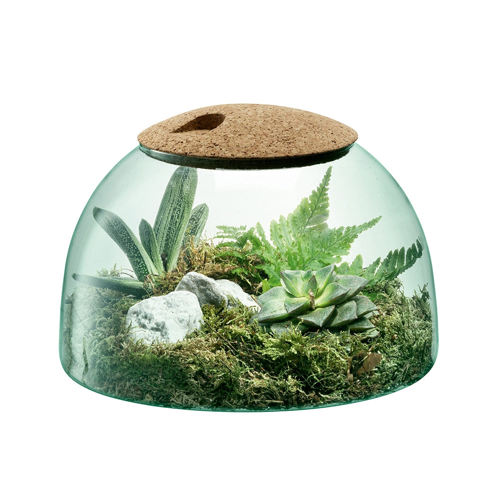 Lsa International 16.5cm Canopy Closed Garden Glass Planter Home Decor Clear — image 2