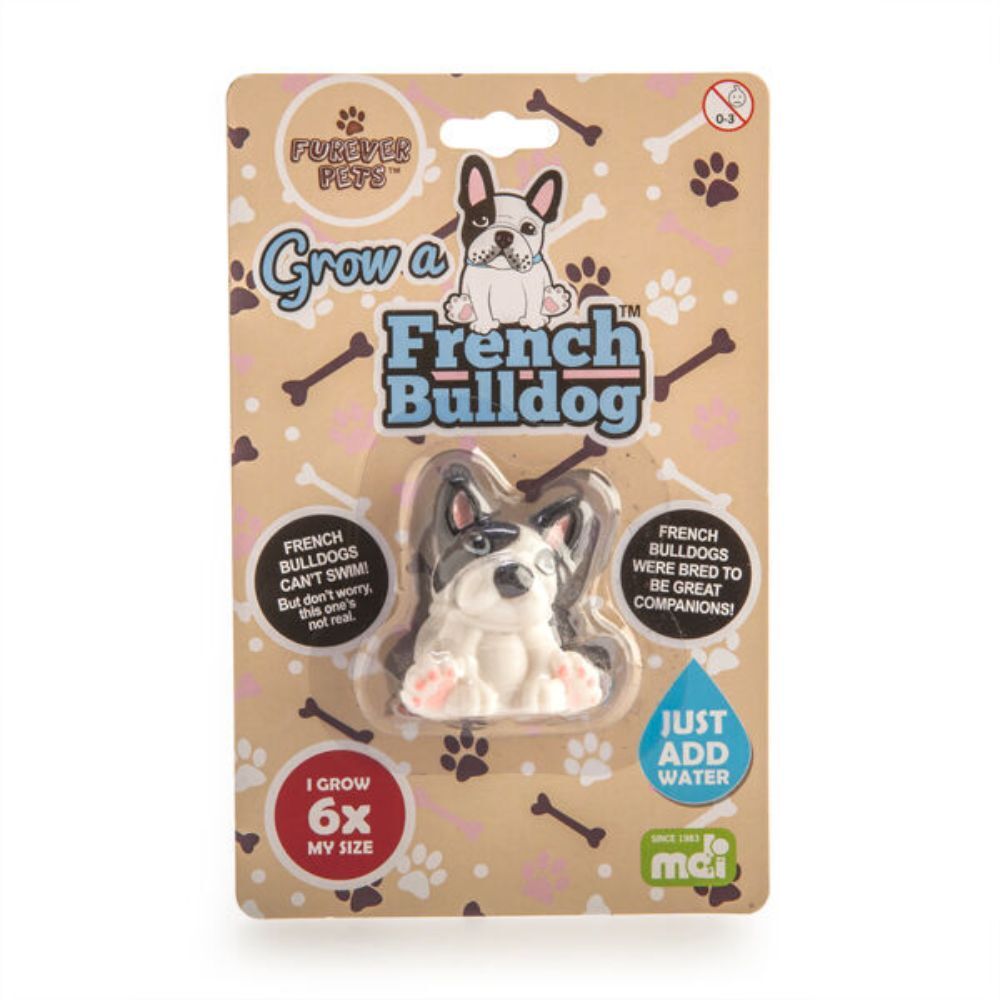 Mdi Grow a French Bulldog Kids/Children Activity Fun Play Interactive Toy (8 Pack) — image 6
