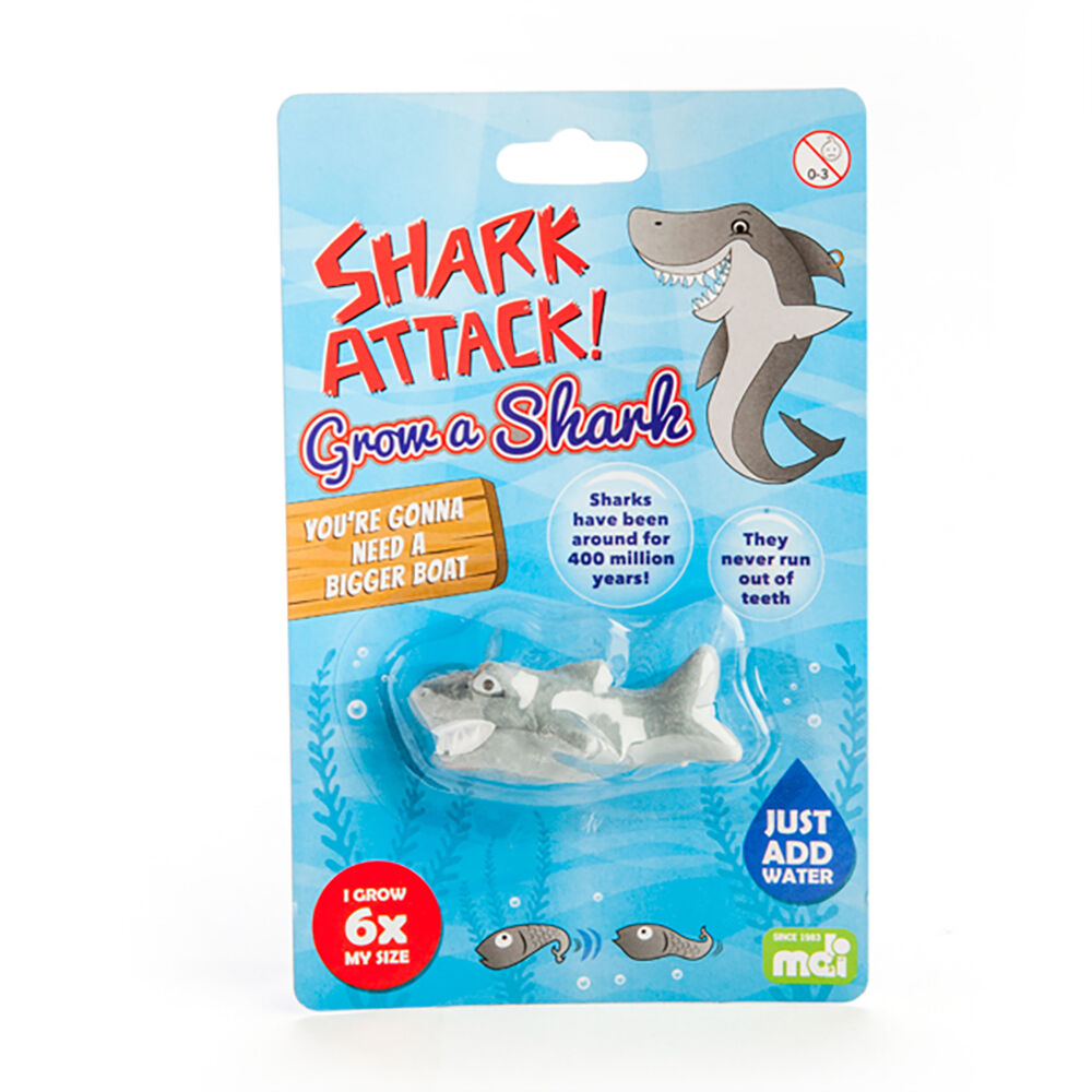 Shark Bay Grow a Shark Kids/Children Activity Fun Play Interactive Toy