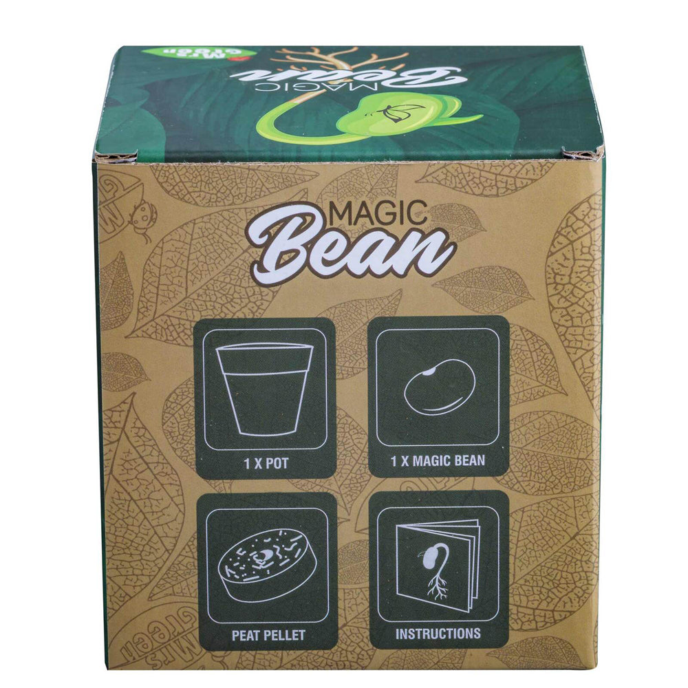 MRS Green Magic Beans Growing Plant Kids/Children Science Educational Toy Assort — image 4