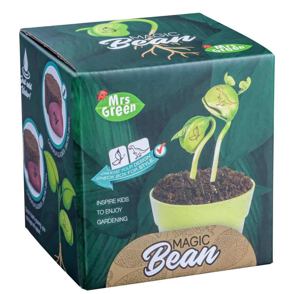 MRS Green Magic Beans Growing Plant Kids/Children Science Educational Toy Assort — image 2