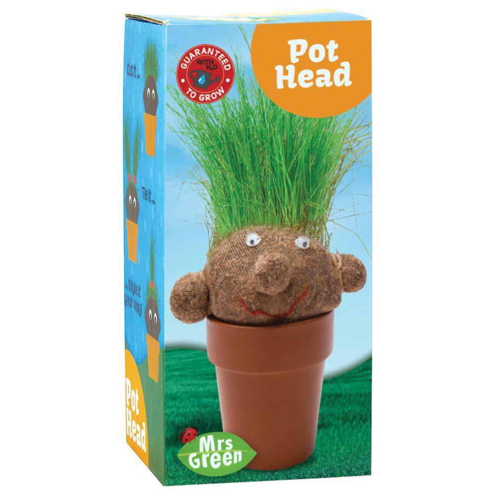 MRS Green Pot Head Kids/Children Grass Growing Plant Doll Planter Fun Activity — image 2