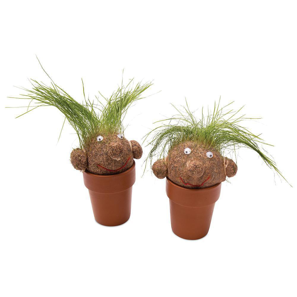 MRS Green Pot Head Kids/Children Grass Growing Plant Doll Planter Fun Activity — image 3