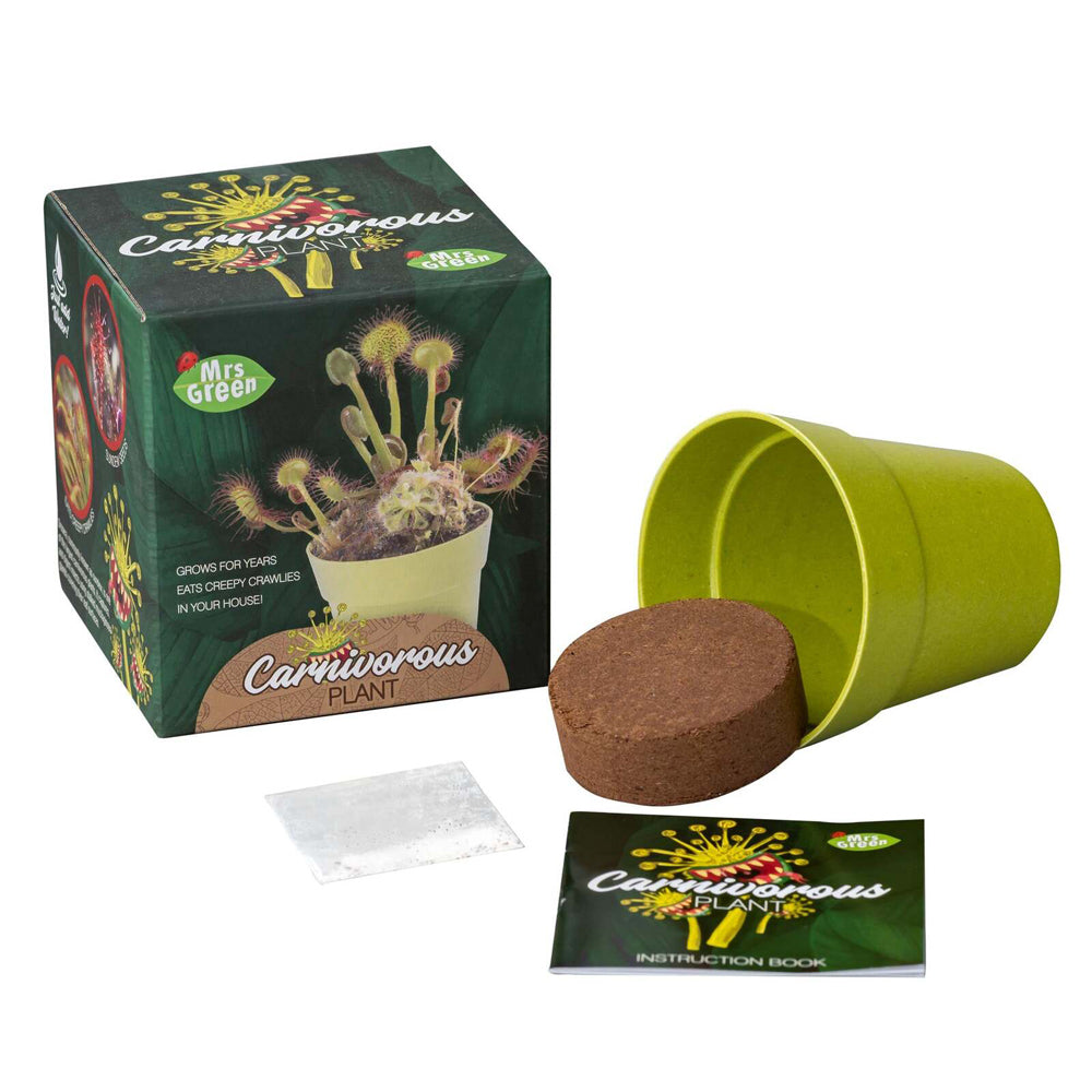 MRS Green Grow Your Own Carnivorous Plant Kids/Children Activity Growing Kit