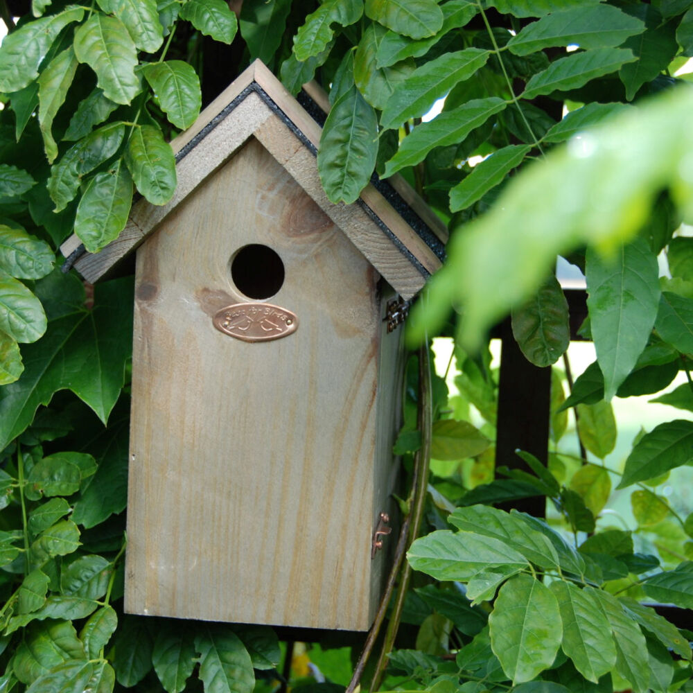Esschert Design 27.5cm Garden Outdoor Decor Blue Tit Nesting Box w/ Bitumen Roof — image 3