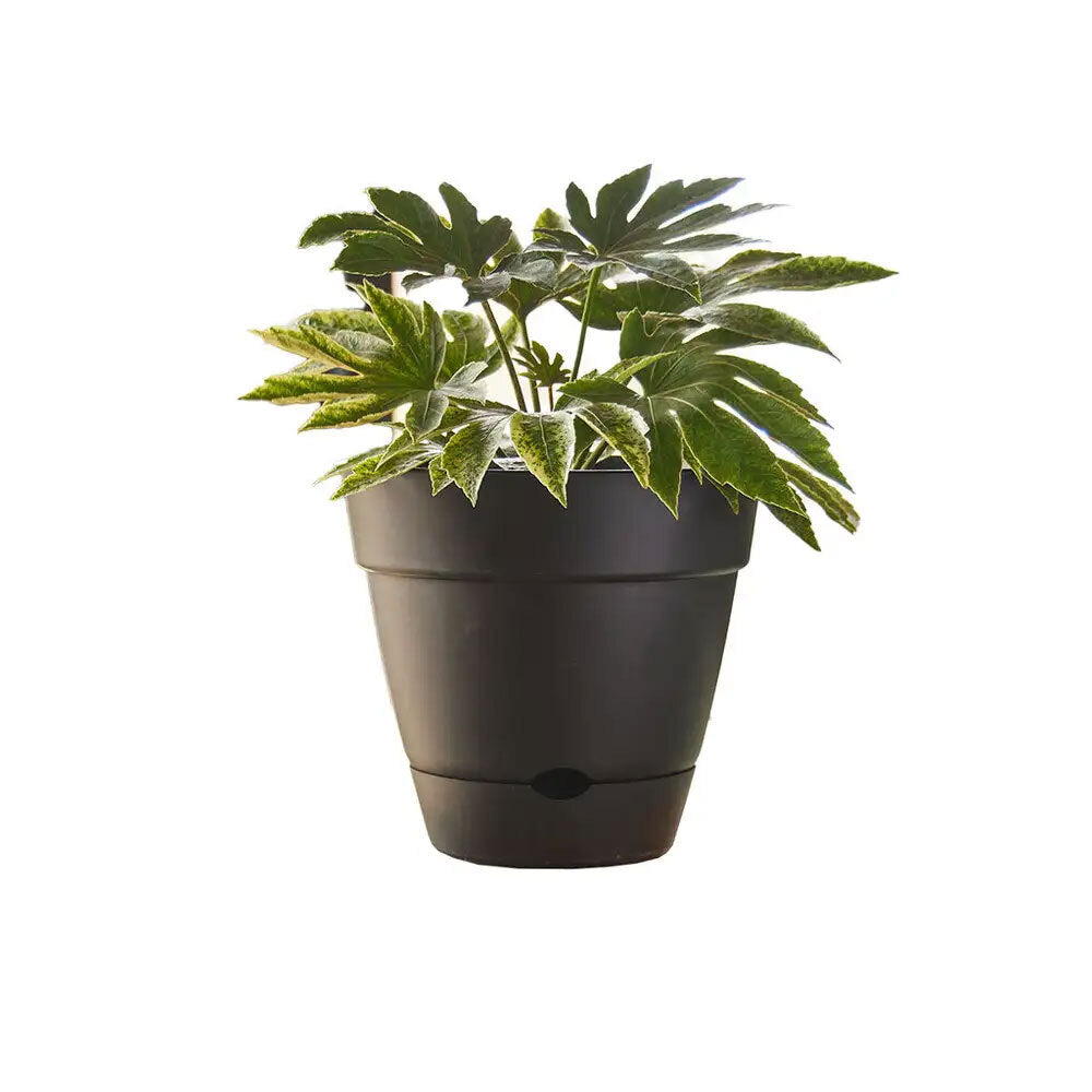 Northcote Pottery Leonard 25x23cm Self Watering Plant Pot Garden Decor Black