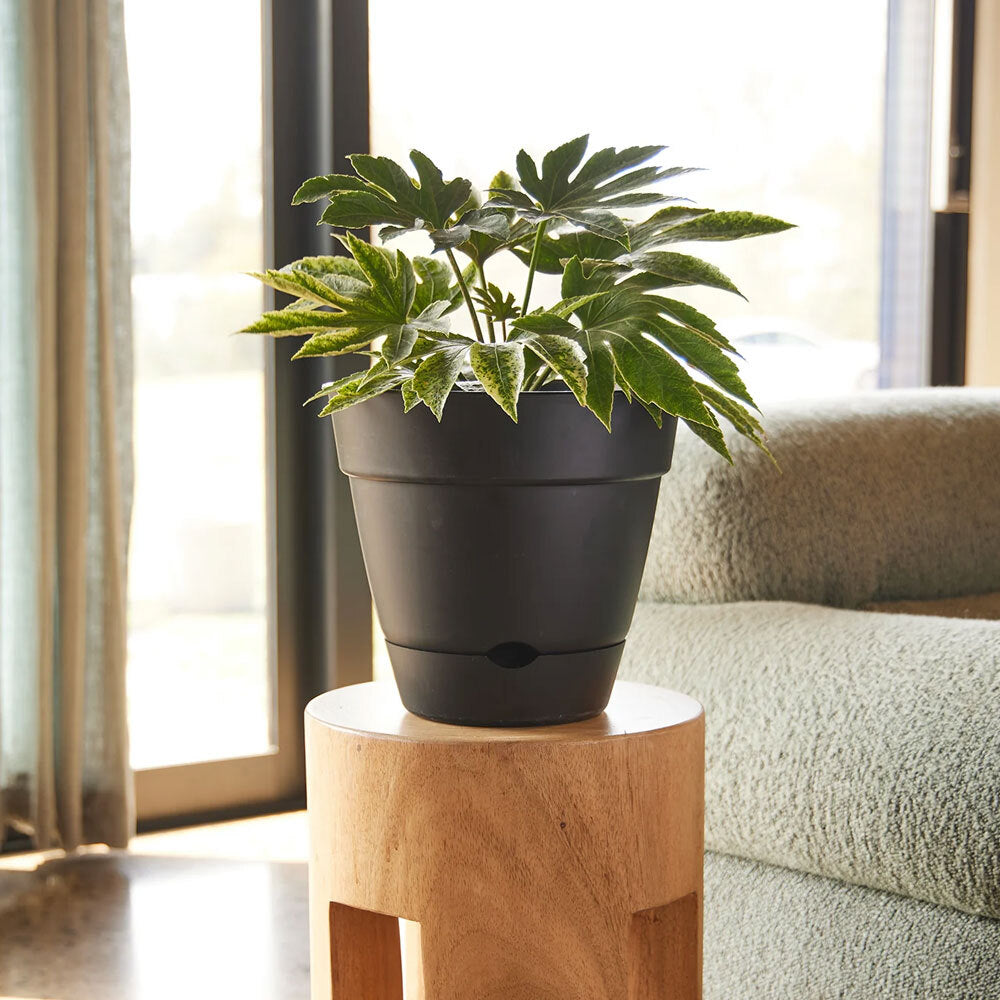 Northcote Pottery Leonard 25x23cm Self Watering Plant Pot Garden Decor Black — image 2