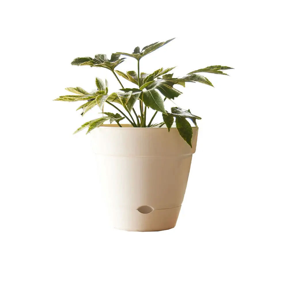 Northcote Pottery Leonard 31x27cm Self Watering Plant Pot Garden Decor — White