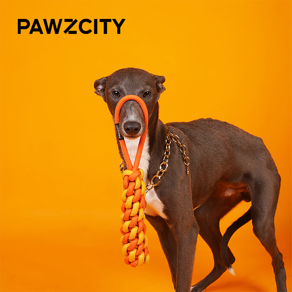 Pawzcity 30cm Interactive Rope Stick Dog/Pet Play Chew Toy w/ Loop Rockmelon (2 Pack)