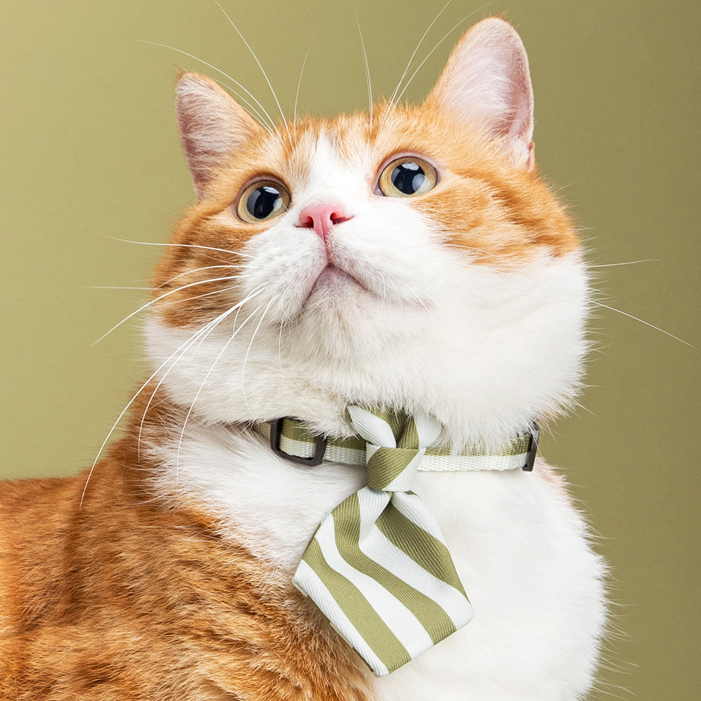 Pidan Adjustable 18-30cm Pet Cat/Kitten Necktie/Collar Accessory Green Stripe — image 3