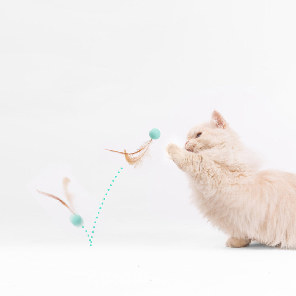 Pidan Bouncy Ball Pet Cat/Kitten Interactive Fun Activity Play Hunting Toy (3 Pieces) — image 2