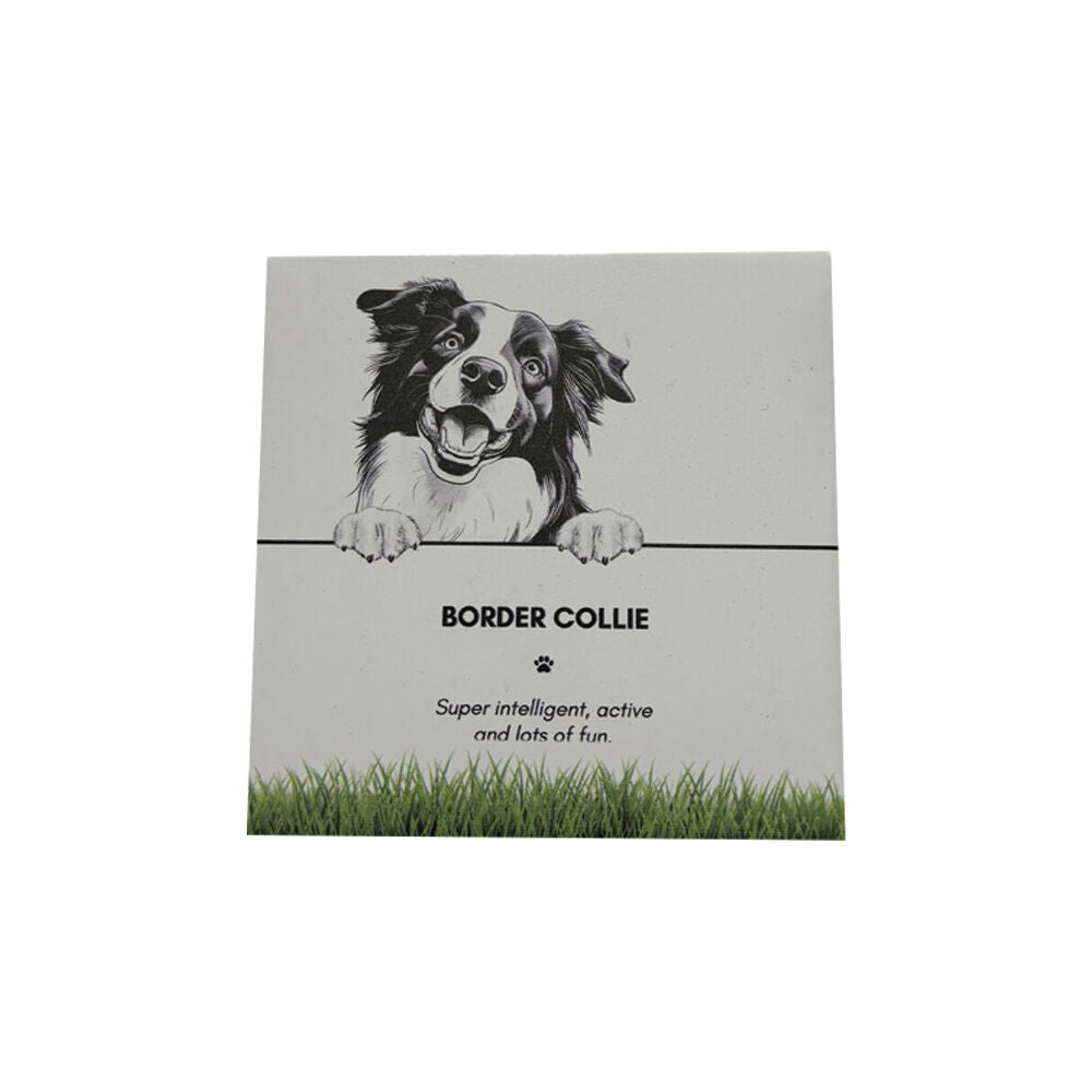 Bramble Bay 11x11cm Pet Kitchen Coaster Border Collie Dog Lover Gift