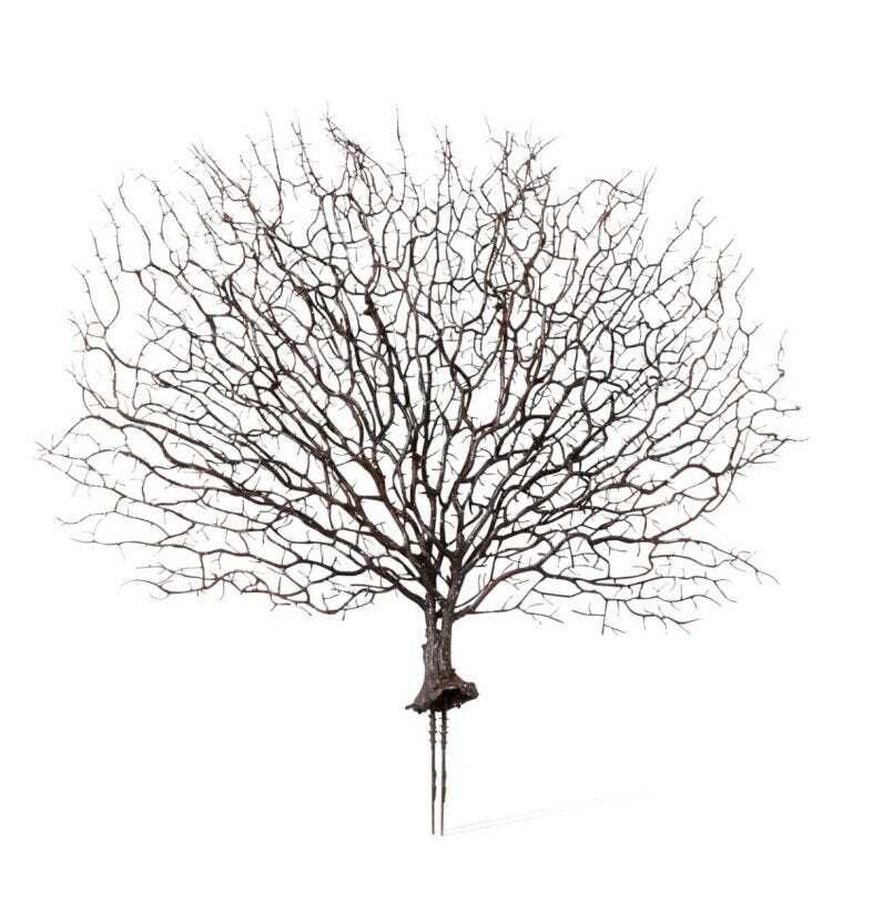 E Style Artificial 48cm Plastic Coral Fan Sea Plant Fake Faux Decor Brown