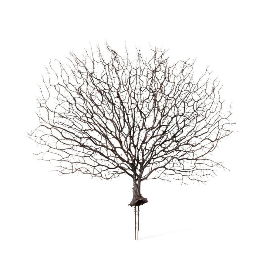 E Style Artificial 48cm Plastic Coral Fan Sea Plant Fake Faux Decor Brown (2 Pack) — image 2
