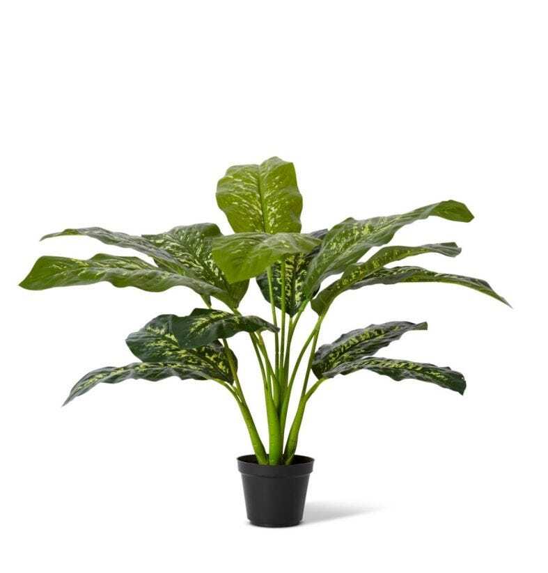 E Style 64cm Dieffenbachia Potted Artificial Plant Fake/Faux Decor Green