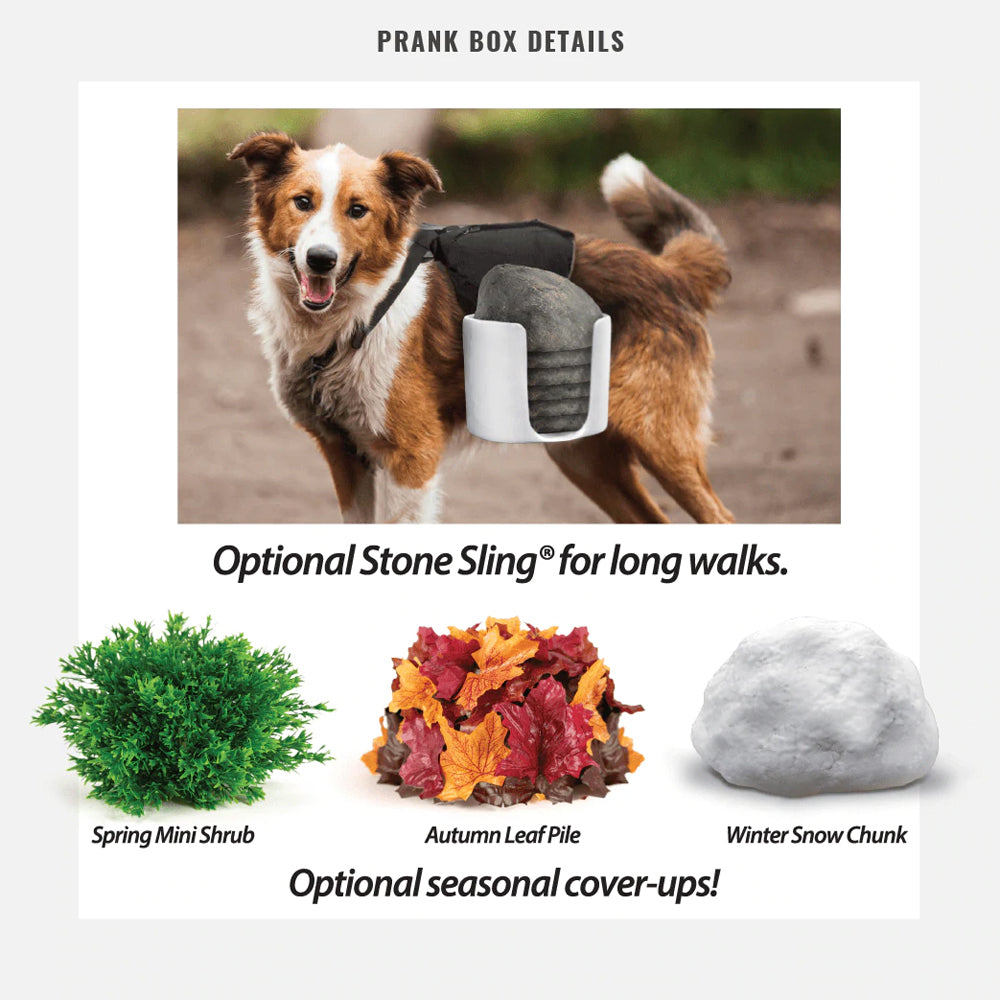 Prank-O Prank Empty Gift Box Storage Party Funny/Joke Fake 28.5cm Hide-A-Poo — image 6