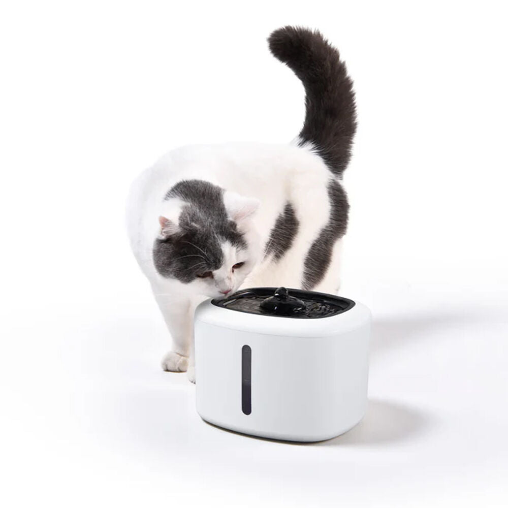 Lenoxx Smart 2.5L Pet Dog/Cat Drinking Fountain w/ Filtered/Flowing Water White — image 3