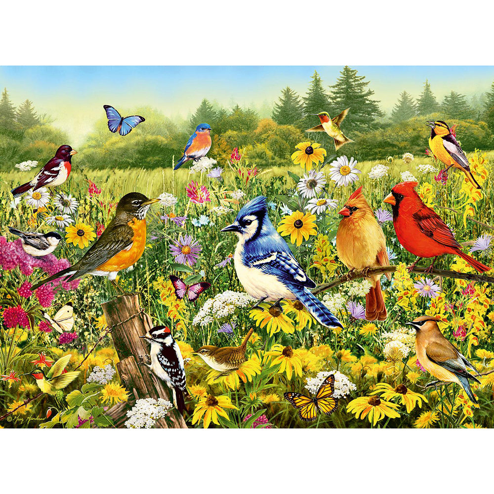 Ravensburger Birds in the Meadow Jigsaw Puzzle (500 Pieces)