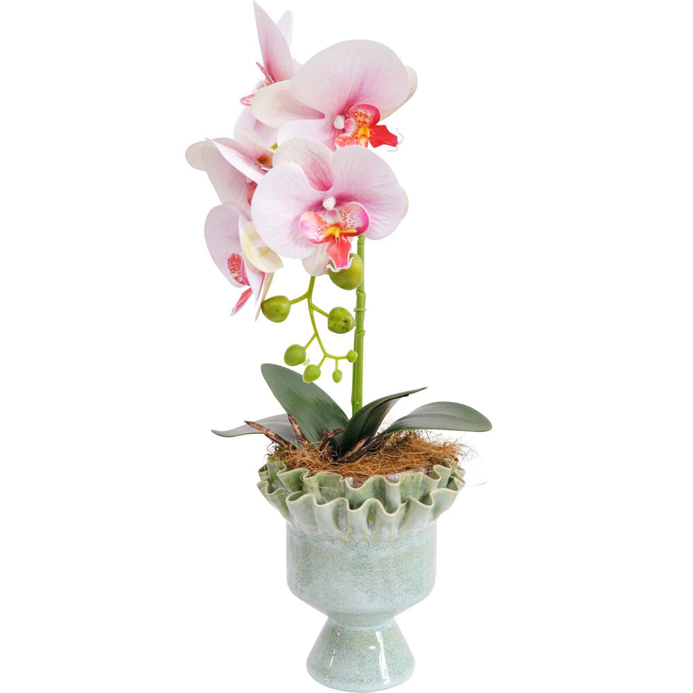 LVD Ceramic Tulip Planter/Urn Tabletop Home/Garden Decor 17cm French Green — image 2