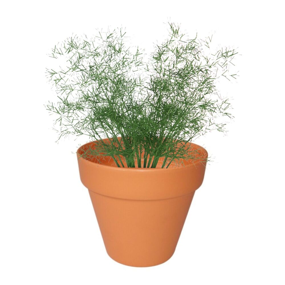 Homeleisure Replicotta Round Pot 150mm Outdoor Decorative Garden Decor (6 Pack) — image 2