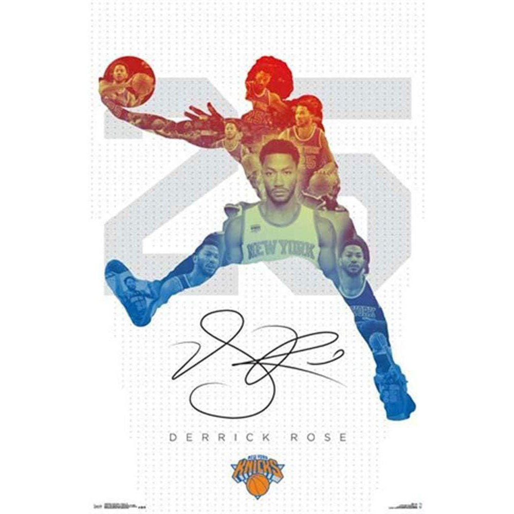 Nba New York Knicks D Rose 16 Poster Home/Room Wall Decor Display 86x57cm