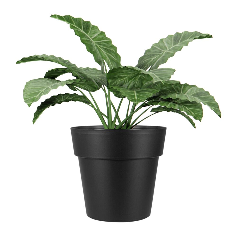 Homeleisure Reko Plastic Plant Pot Garden Flower Planter Round 180mm Charcoal — image 2