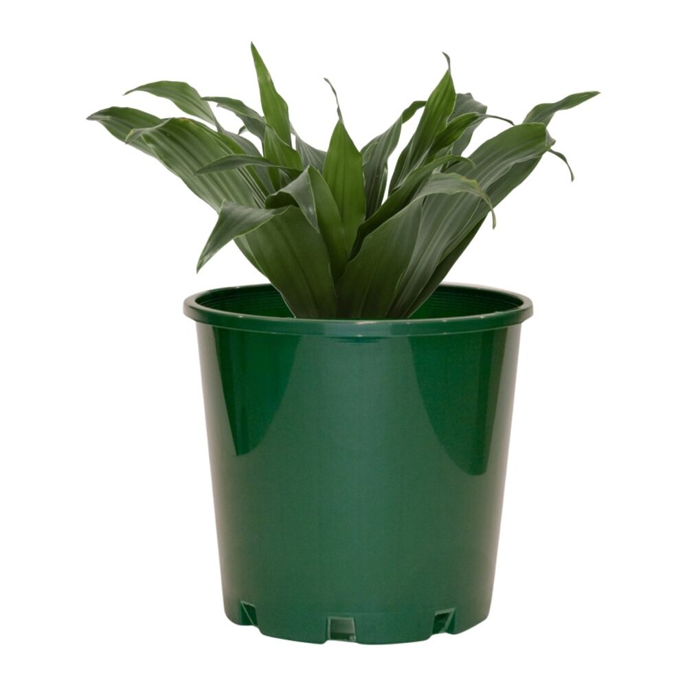 Homeleisure Reko Pot Planter 100mm Green Outdoor Decorative Garden Decor — image 2