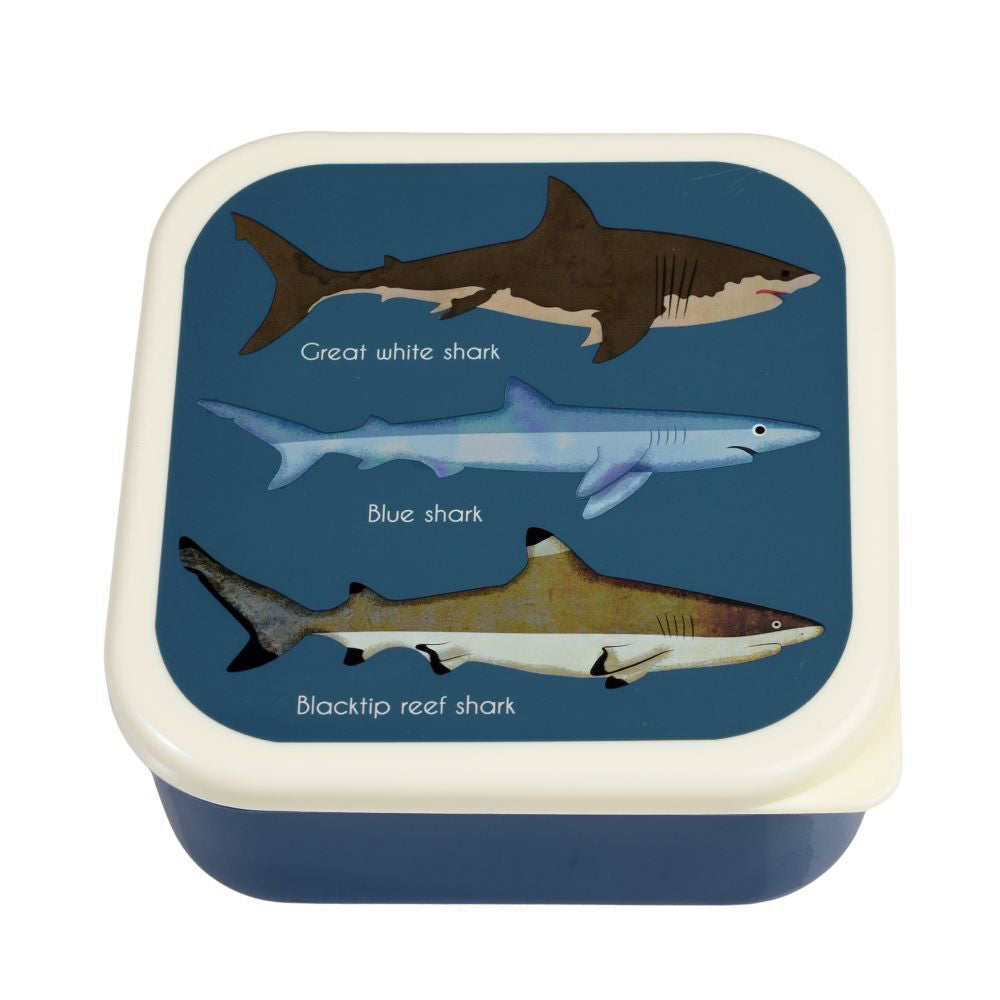 Rex London Kids Plastic Snack/Lunch Box Food Storage Square Set Sharks (3 Pieces) — image 3