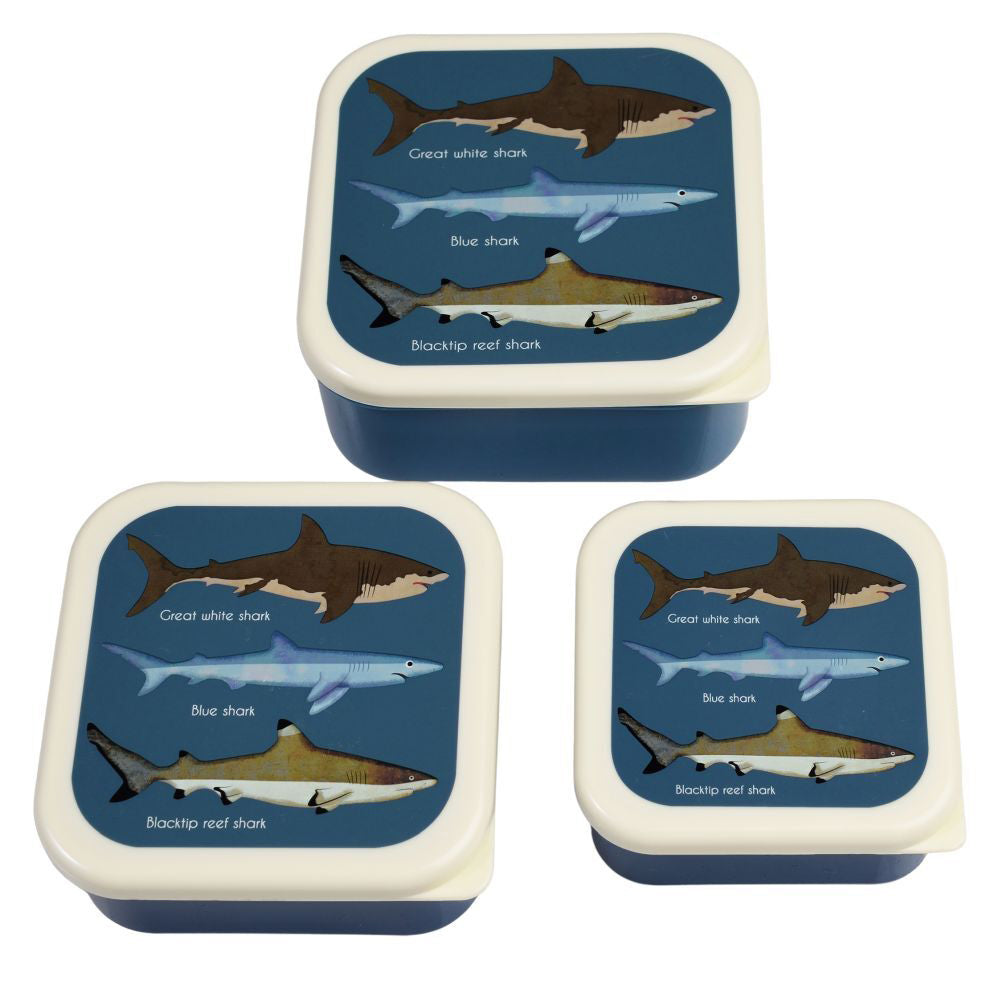 Rex London 3pc Rex London Kids Plastic Snack/Lunch Box Food Storage Square Set Sharks (2 Pack) — image 3