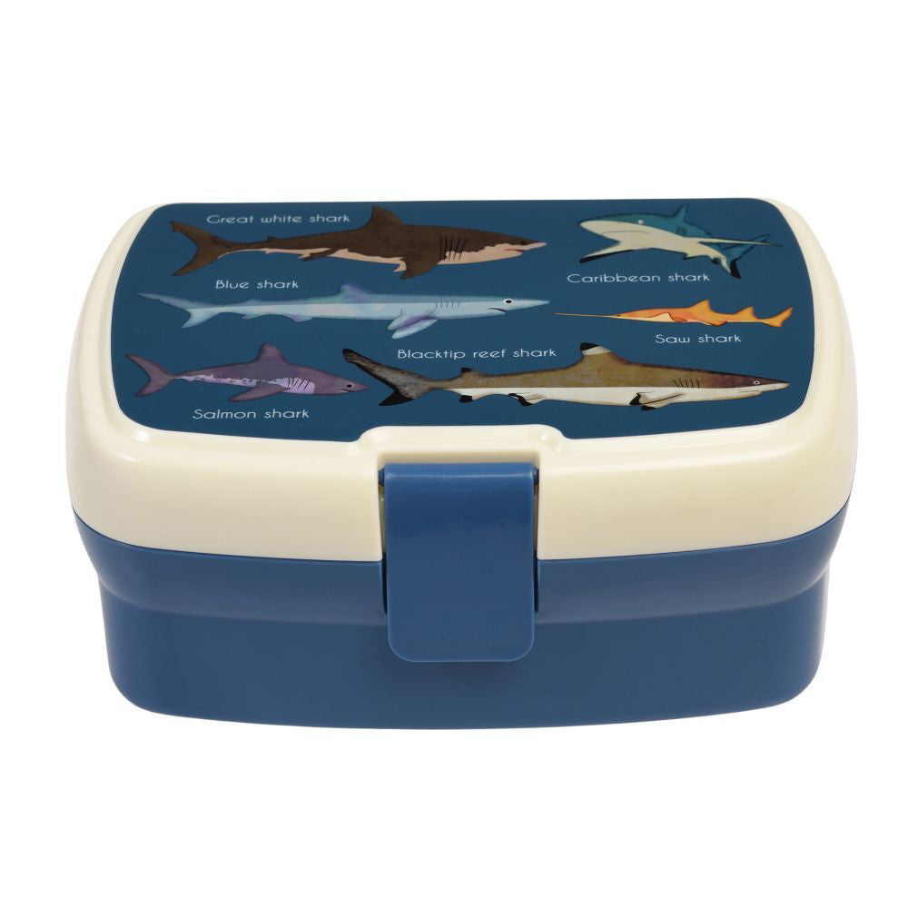Rex London Kids/Children Plastic Food Lunch Box Rectangle 17x13cm Sharks