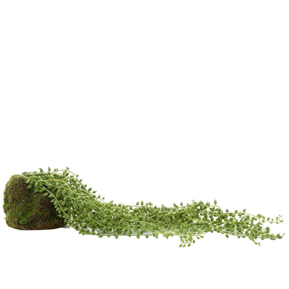 Belle Succulent Hanging Ball 50cm Artificial Fake/Faux Plant Home Decor Green