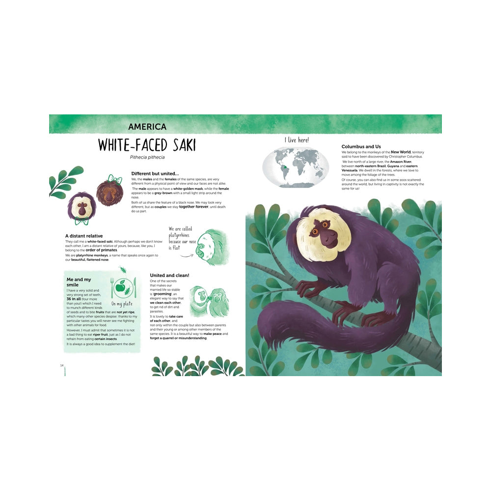 Sassi Atlas of Biodiversity Story Book Curious & Unusual Animal Kids/Children 6+