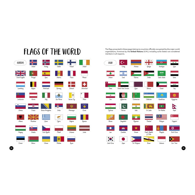 Sassi Book & Poster Kids/Children Fun Learning/Reading What How & Why Flags 6y+ — image 2