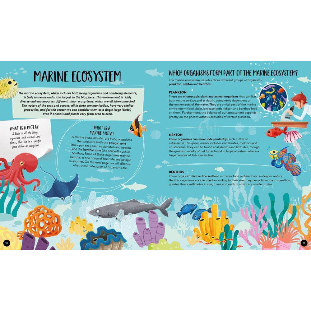 Sassi Book & Poster Kids/Children Fun Learning/Reading What How & Why The Sea 6+ — image 2