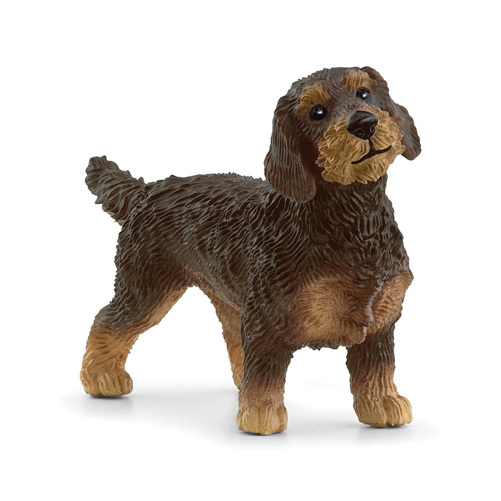Schleich 2.6'' Wire-Haired Dachshund Dog Animal Action Figure Kids Toy 3-8y