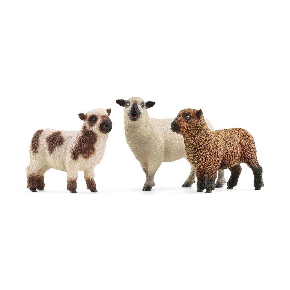 Schleich 3.9'' Sheep Friends Animal Action Figure Kids Toy Play Set 3-8y (3 Pieces)