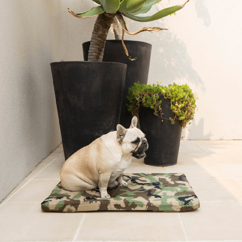 Superior Pet Goods Mini Mat Pet Mat Portable Pet Bed Hygienic 70x54x4cm — image 3