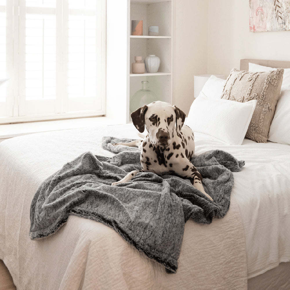 Superior Pet Goods Pet Blanket - Machine Washable - Snuggle - Large 140 x 100 Cm — image 5