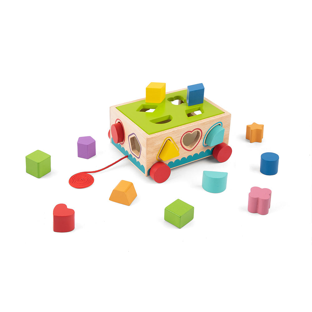Tooky Toy Kids/Children Wooden Shape Sorter Educational Block Puzzle 12m+ (16 Pieces)