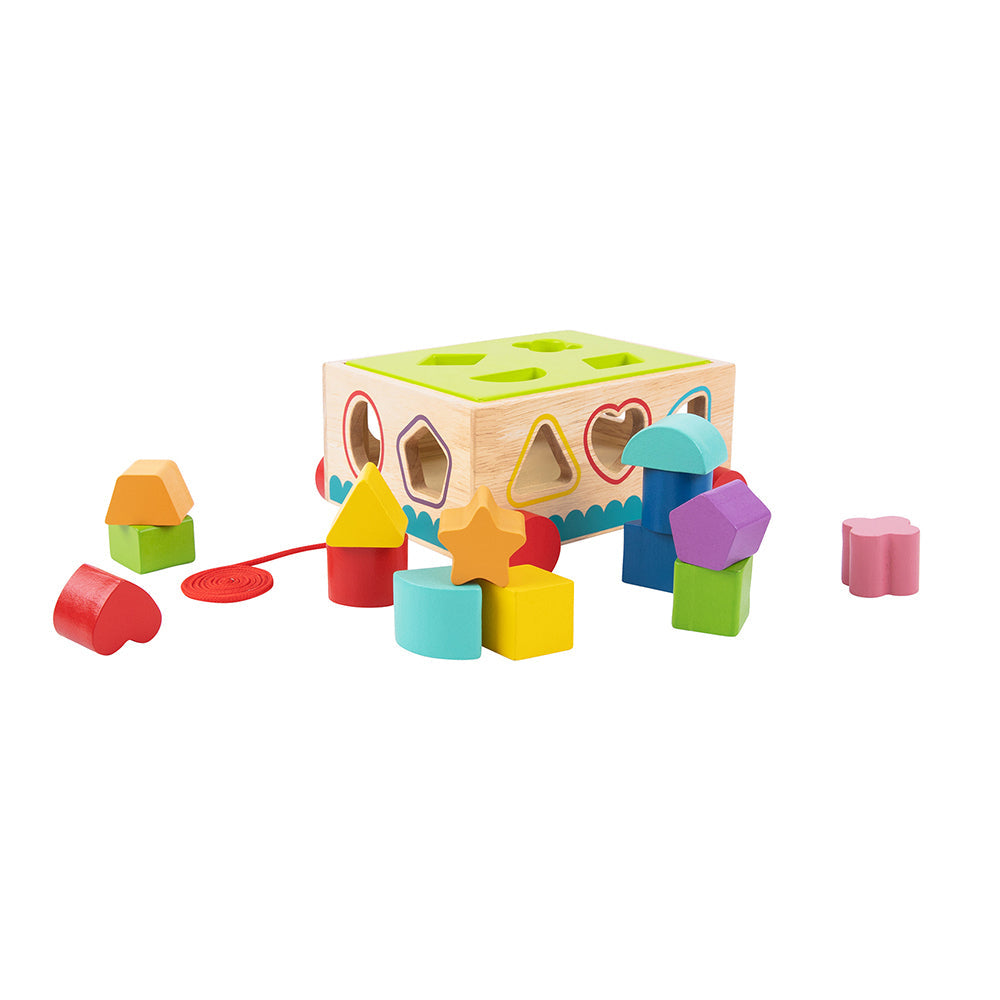 Tooky Toy Kids/Children Wooden Shape Sorter Educational Block Puzzle 12m+ (16 Pieces) — image 7