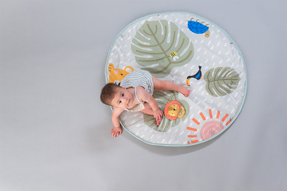 Taf Toys Harry Lion Grab/Shake Rattle Cymbals Merry Music Maker For Baby/Kids — image 3